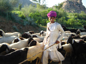 Rajasthan cultural holiday