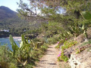 Guided walking holidays in Catalonia, view