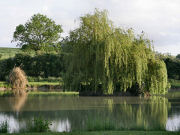 Yoga retreat, lake