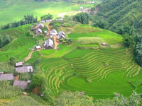 Vietnam trek and homestay