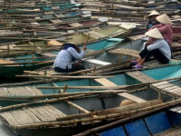 Vietnam tailor made tour