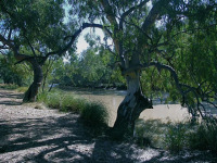 Outback tour