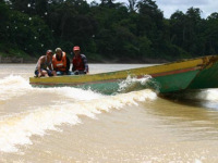 Gap year, Borneo