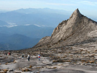 Gap year, Borneo