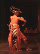 Bali tailor made tour