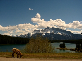 Adventure holiday in Canada 