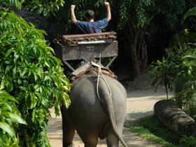 Life coaching and cultural holiday in Chiang Mai