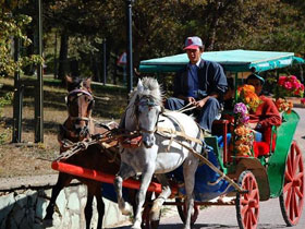 Western Black Sea holiday in Turkey