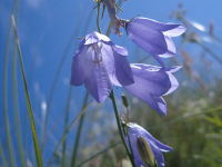 Scotland holistic and wellbeing holidays