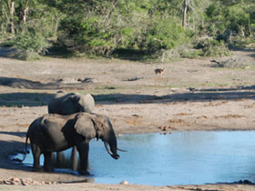 Zululand & Mozambique holiday, wildlife and beaches