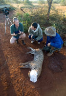 Wildlife conservation
