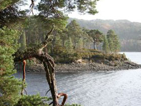 Conservation volunteering in Scotland