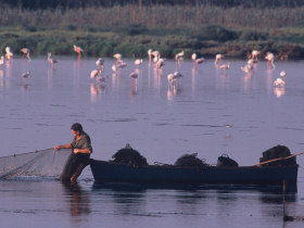 Ebro Delta Nature Park in Spain