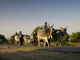 Gujarat holiday and the Rann of Kutch, India
