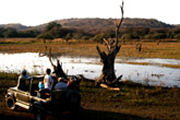 Safari, Tour in Ranthambore national Park