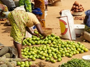 Togo holidays, main image