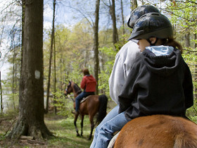 Travelling and adventuring with kids