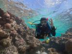 Learn to scuba dive in the Red Sea