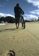New Zealand activity holiday
