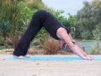 Yoga holidays in France