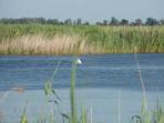 Provence self guided cycling tours, Avignon to Camargue