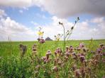Mont Saint Michel self guided cycling tours in Normandy & Brittany