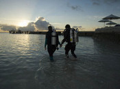 Diving in Sulawesi