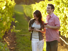 Vineyard, Victoria