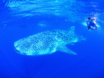 Western Australia travel guide