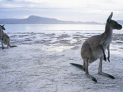 Western Australia holidays, main image
