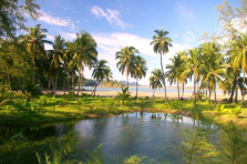 View of fresh water ponds, Thailand