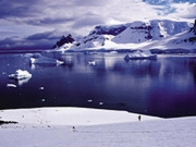 Wildlife cruises, main image