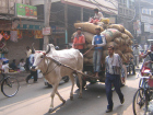 India holiday competition winner