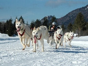 Winter activity holidays, main image