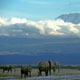 Africa