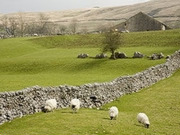 Yorkshire Dales holidays, main image