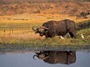 Zimbabwe holidays , main image