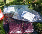 Whale meat