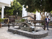 Donkey driven irrigation wheel Pájara, Fuerteventura. Photo by Nick Haslam