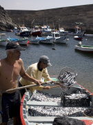 Landing sardines in El Cotillo, Fuerteventura. Photo by Nick Haslam