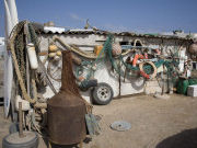 Flotsam found on Cofete beach, Fuerteventura. Photo by Nick Haslam