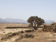 Interior of southern Fuerteventura. Photo by Nick Haslam