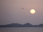 Dawn over Isla de los Lobos, Fuerteventura. Photo by Nick Haslam
