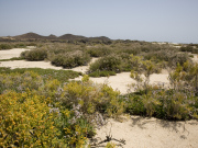 Interior, Isla de los Lobos, Fuerteventura. Photo by Nick Haslam