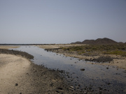Wetlands on Isla de los Lobos, Fuerteventura. Photo by Nick Haslam