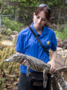 Reptiles at Oasis Park La Lajita on Fuerteventura. Photo by Nick Haslam