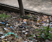 Throwing litter away locally