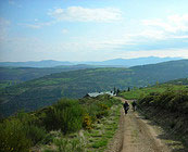 Camino de Santiago