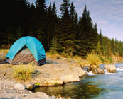 Wild camping