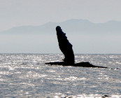 Mexico’s national parks
